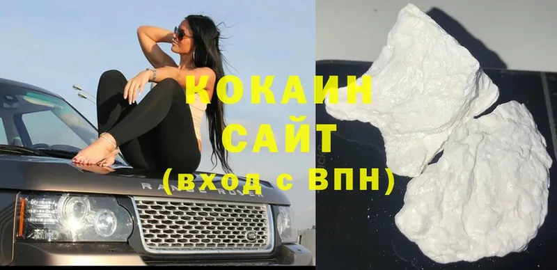 Кокаин FishScale  кракен ССЫЛКА  Кемь 